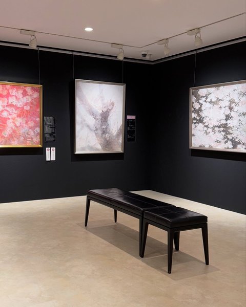 Thumbnail of p-dknbvwipjxs-fd8544103833440a 7