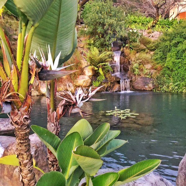 Thumbnail of p-b4jtodujatm-fdf566347966479c 5