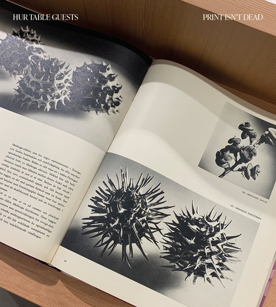 Thumbnail of c24za-mpuh5-fe93c9a737344034 6