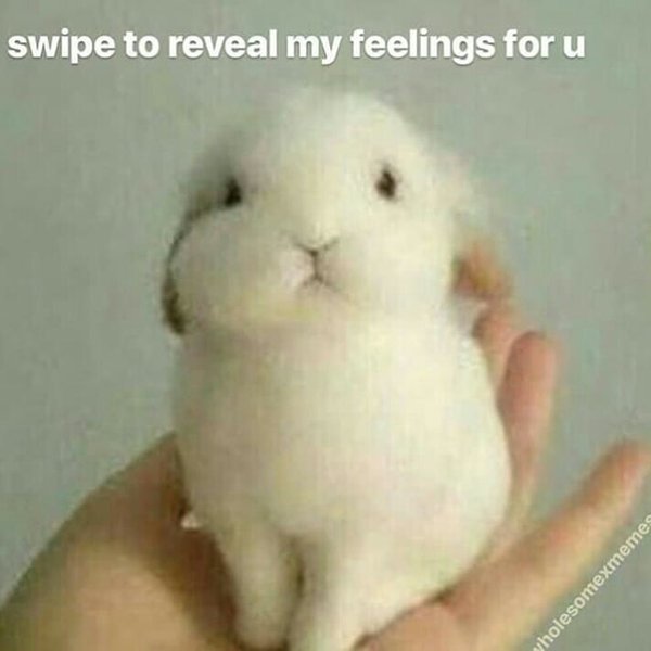 Thumbnail of bg6egumlk-w-fea54e93cb0a424e 0