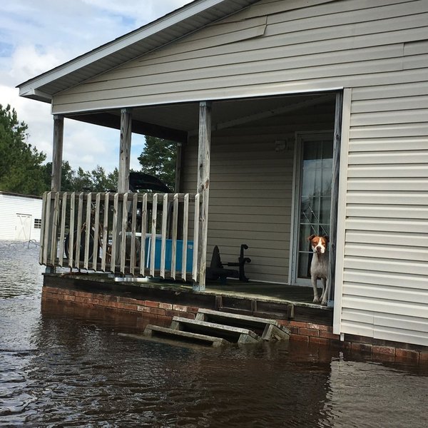 Thumbnail of p-bn4hvwta15f-feabc25ffece4c07 0