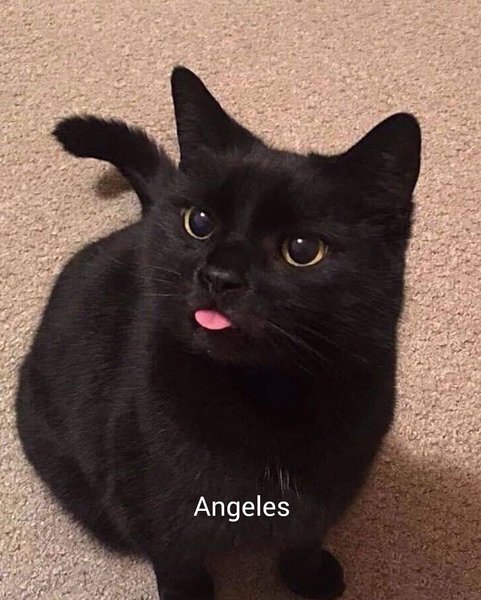 Thumbnail of cqkuq0hdu-n-feacddf393f4465c 1