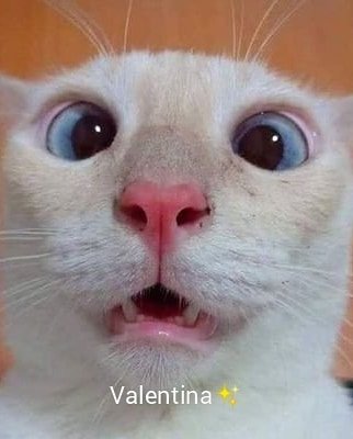 Thumbnail of cqkuq0hdu-n-feacddf393f4465c 4