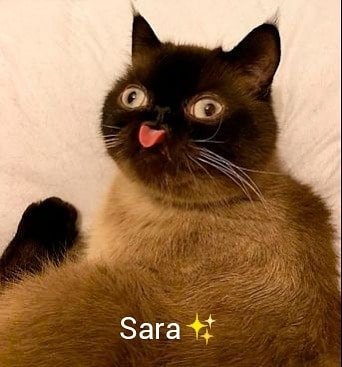 Thumbnail of cqkuq0hdu-n-feacddf393f4465c 6