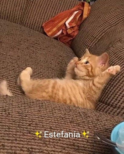 Thumbnail of cqkuq0hdu-n-feacddf393f4465c 8