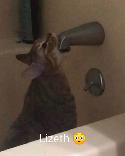 Thumbnail of cqkuq0hdu-n-feacddf393f4465c 9