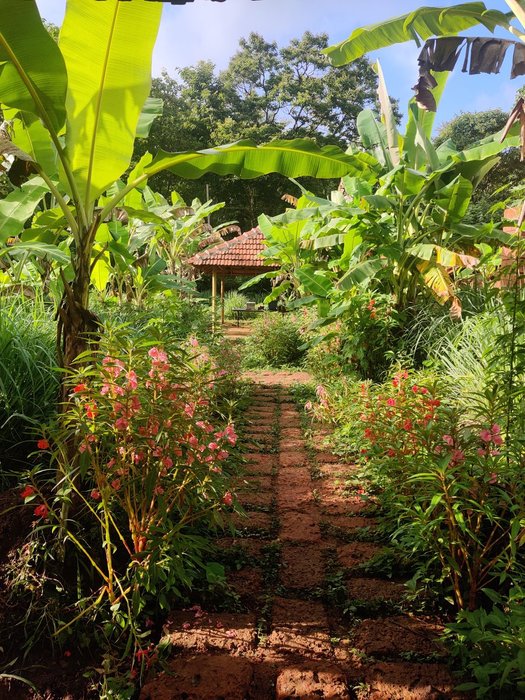 Thumbnail of www-x-com-waabi-saabi-status-1536949882753150976-febe72d211a64051