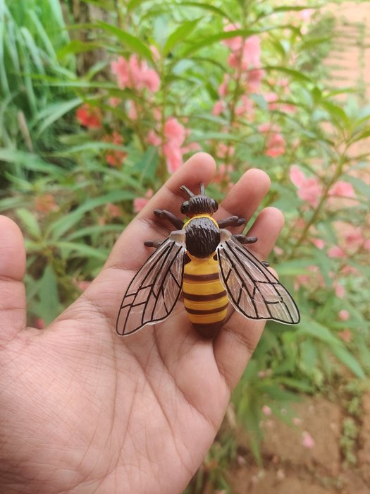 Thumbnail of www-x-com-waabi-saabi-status-1536949882753150976-febe72d211a64051