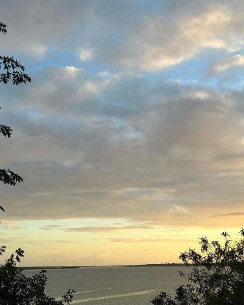 Thumbnail of p-casgdafldnp-fec211a16f8e4ac0 3