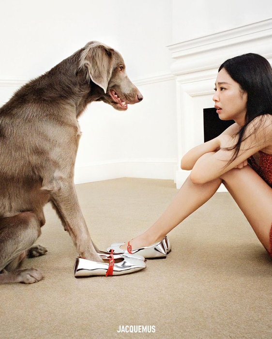 Thumbnail of www-x-com-cafewindows-status-1734570641414865346-fec515b9bc724fc3