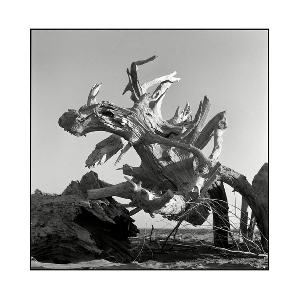 Thumbnail of b2b7fw-i9cx-fecb83f773214562 4