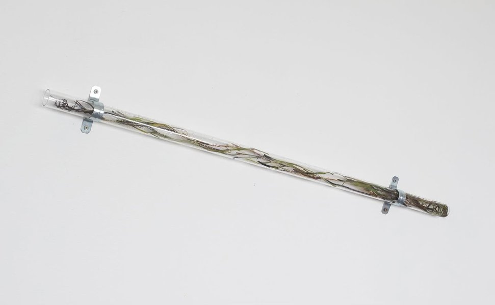 Thumbnail of ggar-54-ff49868402954b8e 2