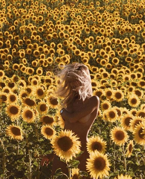 Thumbnail of ceur-chawfk-ff7b52dcc93840fe 0