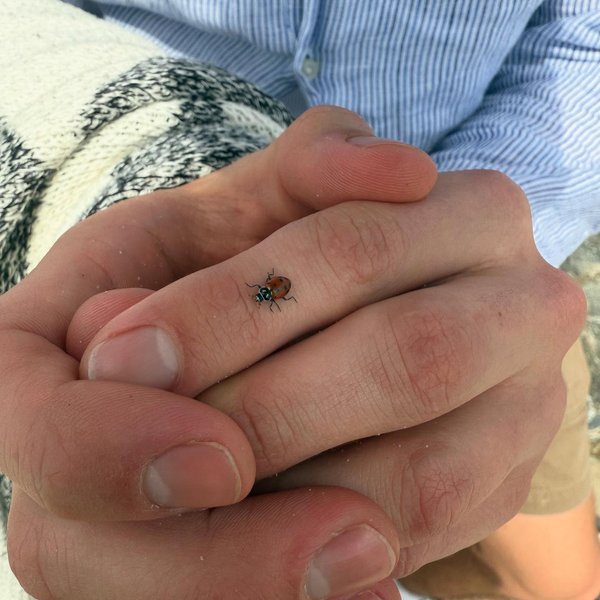 Thumbnail of p-dgxkg3arsnb-ffb1d7d40d94422e 5