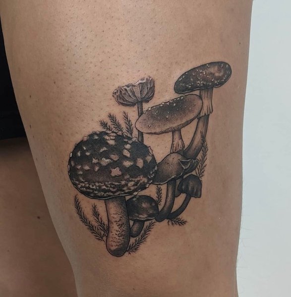 Thumbnail of cmz5kq-nr9u-ffe34d374f174ac7 0