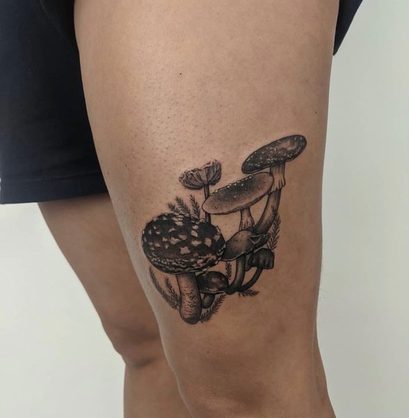 Thumbnail of cmz5kq-nr9u-ffe34d374f174ac7 1