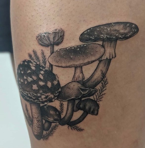 Thumbnail of cmz5kq-nr9u-ffe34d374f174ac7 2