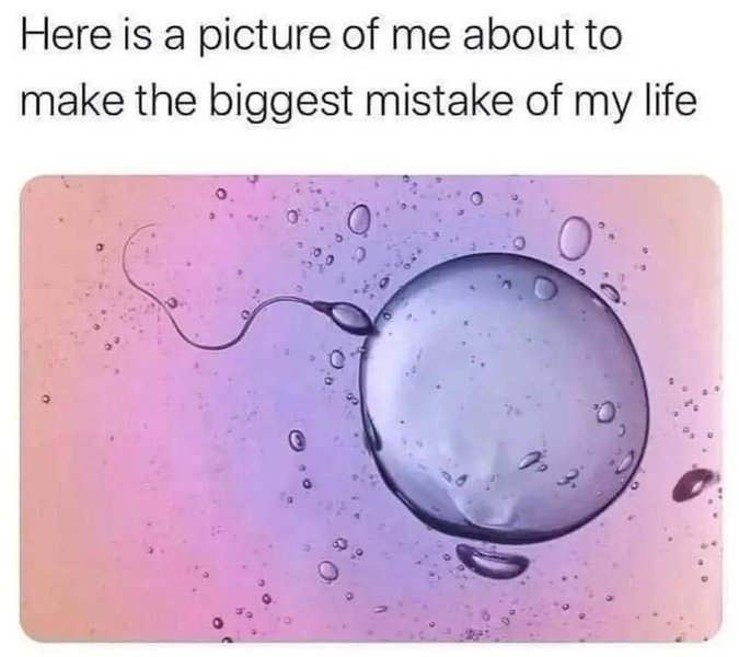 Thumbnail of frank-t-bird-franktbird 0