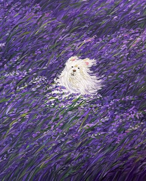 Thumbnail of pmamtraveller-pmamtraveller-2ae2d4970799458a 4