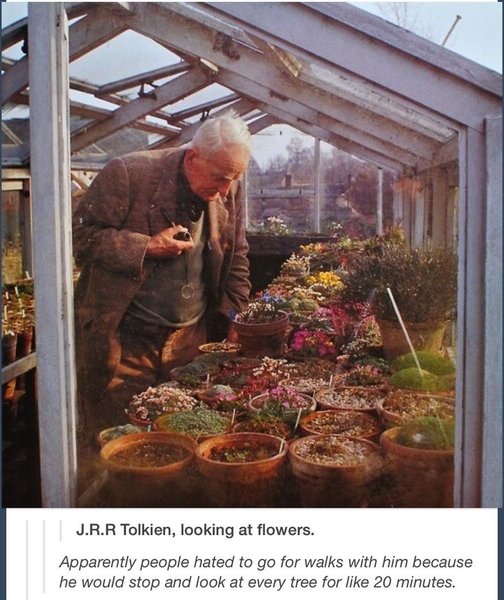 Thumbnail of olga-panagiotopoulou-panagiotopoulouolga-2b053a1bce654d38 0