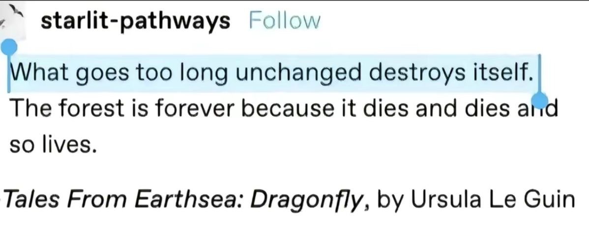 Thumbnail of edwin-raphael-edwinraphael-542322c8fa46449c 0