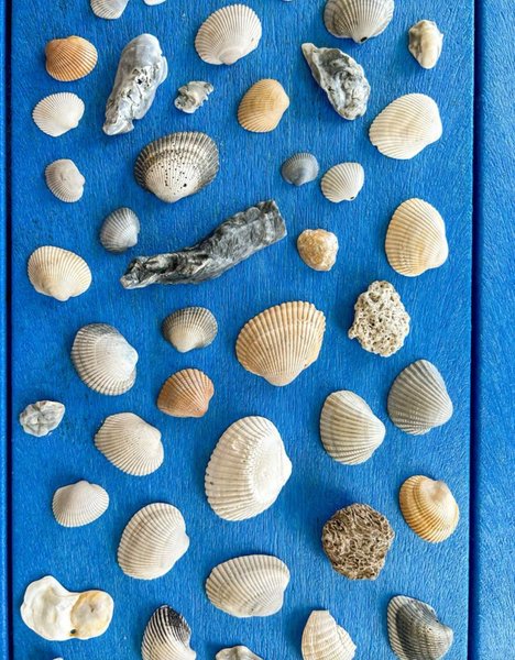 Thumbnail of arriane-on-substack 2