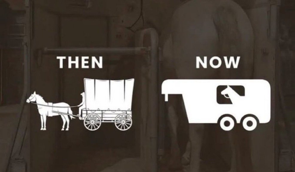 Thumbnail of tom-white 0