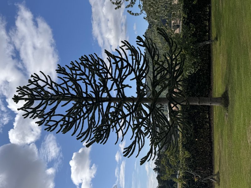 Thumbnail of alastair-muirhead-tairmuir 0