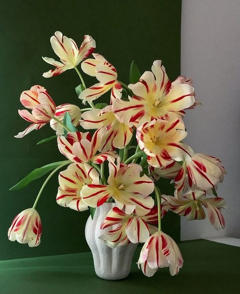 Thumbnail of kate-van-horn-katevanhorn 0