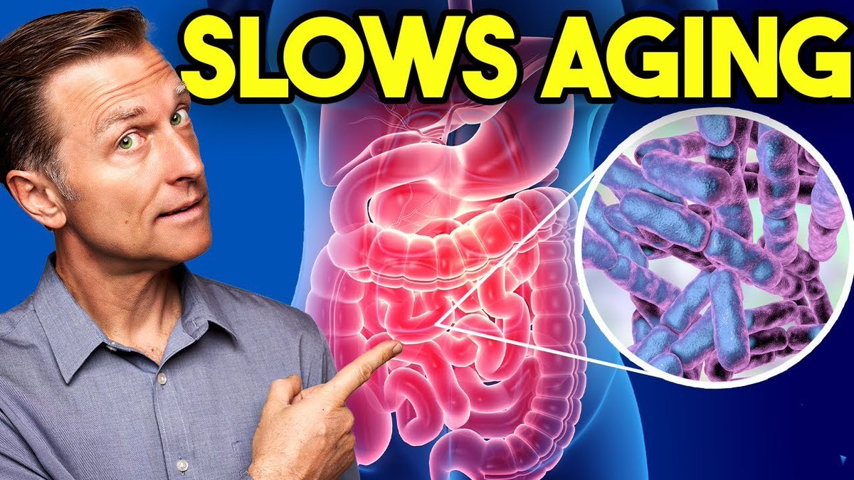 Thumbnail of www-x-com-dr-ericberg-status-1904160623371653512-000543a469494175