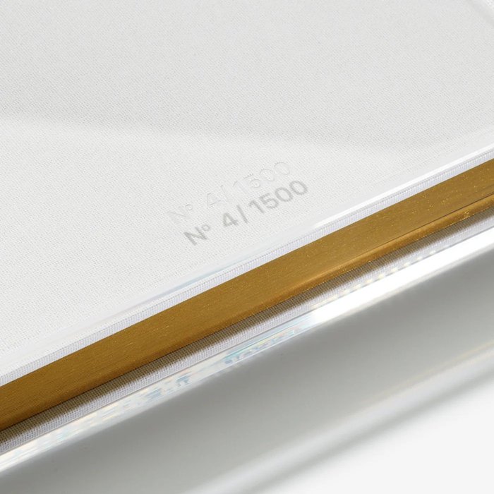 Thumbnail of www-x-com-kotecinho-status-1856095043255156968-0035e3ef9b114797