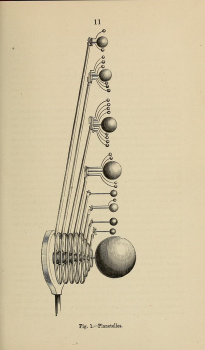 Thumbnail of www-x-com-mrprudence-status-1864984731596591394-00526a2dfe204fb4