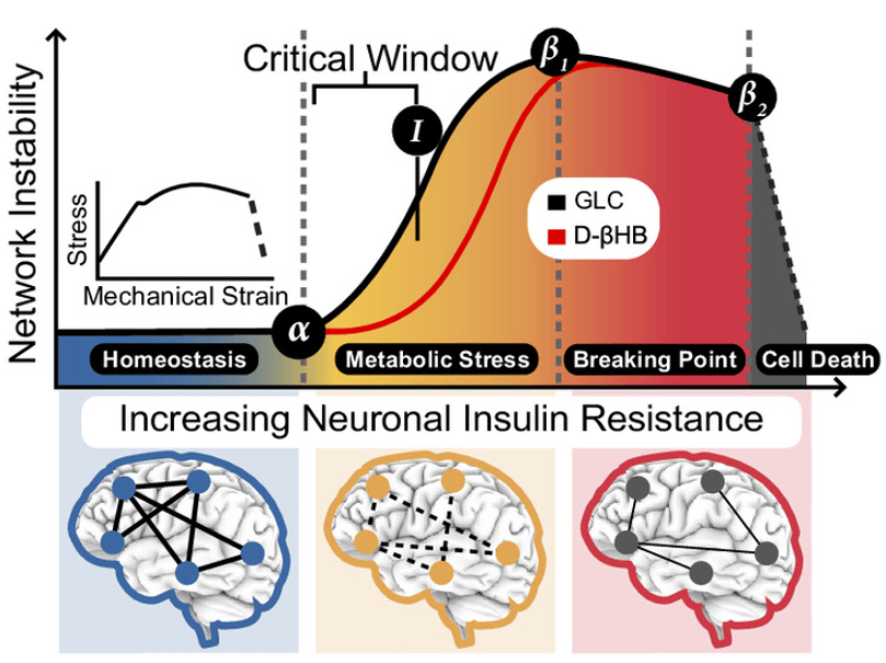 Thumbnail of www-x-com-ntfabiano-status-1902683782529909015-00a2aa45d65c4749