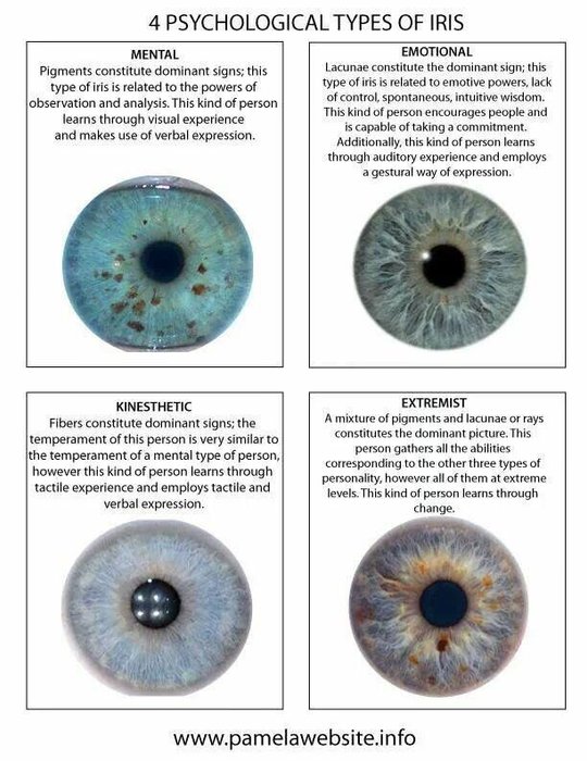 Thumbnail of www-x-com-cantide1-status-1723768072253620704-042bed4ea1df4d4b