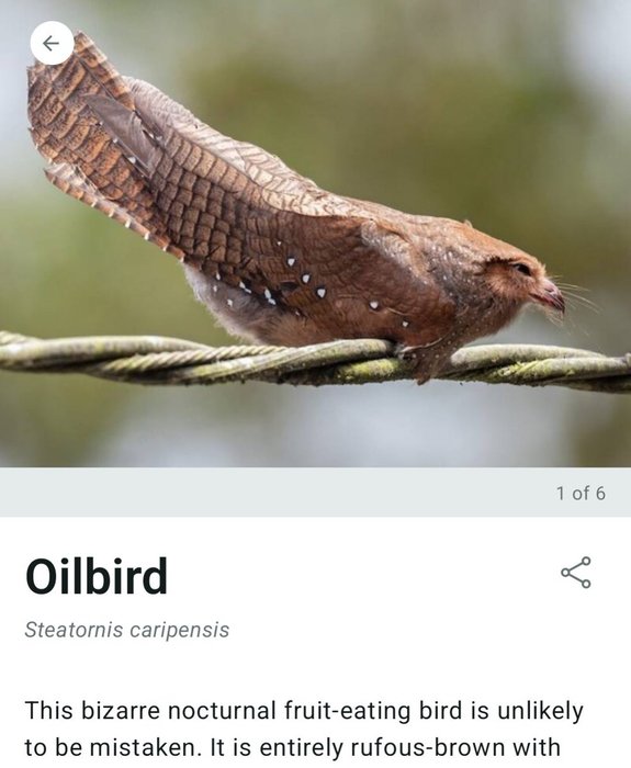 Thumbnail of www-x-com-rbfrncs-status-1929204783853756482-05769be1b00347d9