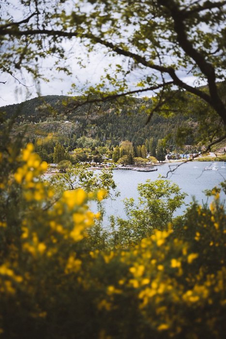 Thumbnail of www-x-com-ferminrp-status-1721538457321812097-057b7ce773ae403d