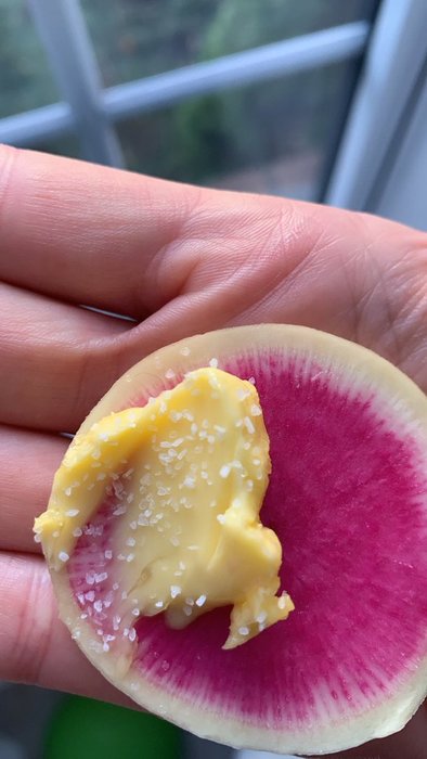 Thumbnail of www-x-com-bioavailablend-status-1853242188752138749-07bae3abab124773