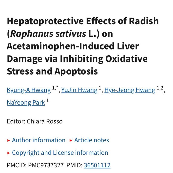 Thumbnail of www-x-com-bioavailablend-status-1853242188752138749-07bae3abab124773