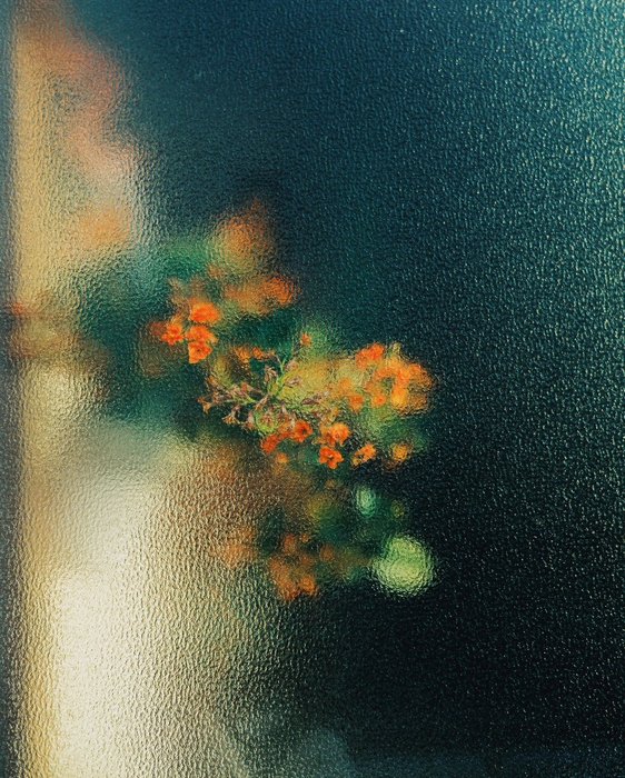 Thumbnail of www-x-com-hinamin012-status-1855551483171020899-07ffdbb73e944026