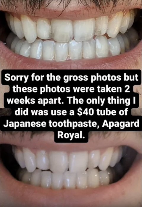 Thumbnail of www-x-com-magnusvigso-status-1906633578458353727-088704fc59294feb