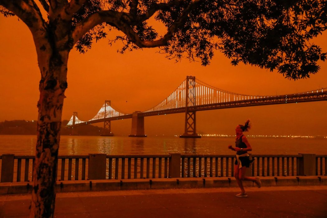 Thumbnail of www-x-com-sdw-status-1834994559711166850-09bc4fca809a4cc1