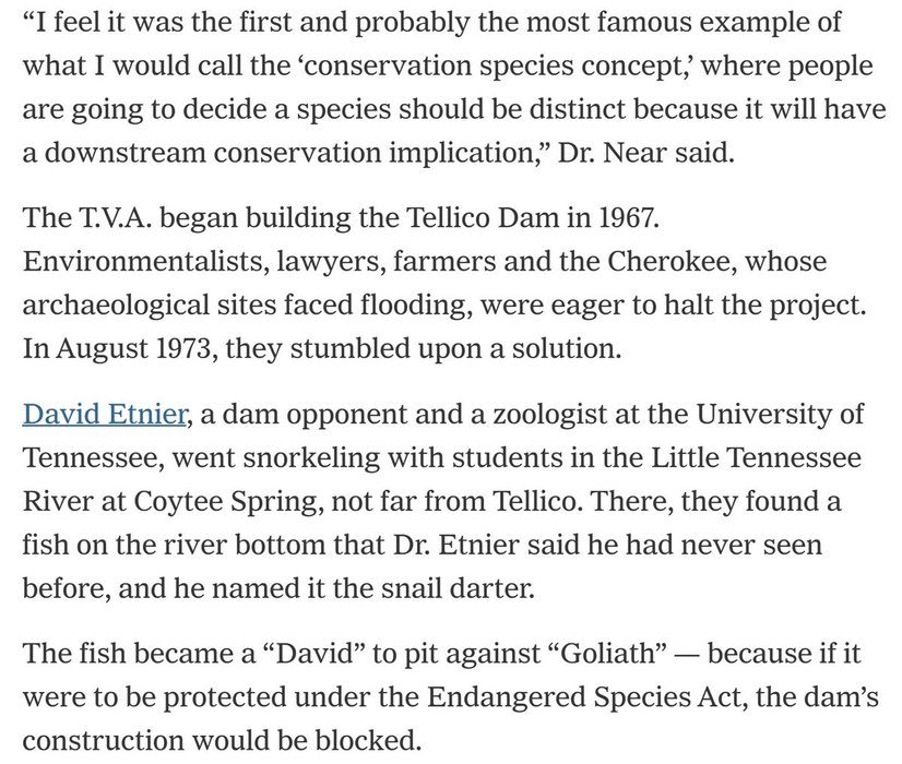 Thumbnail of www-x-com-aarmlovi-status-1875584298918809634-09d7e79609144b38