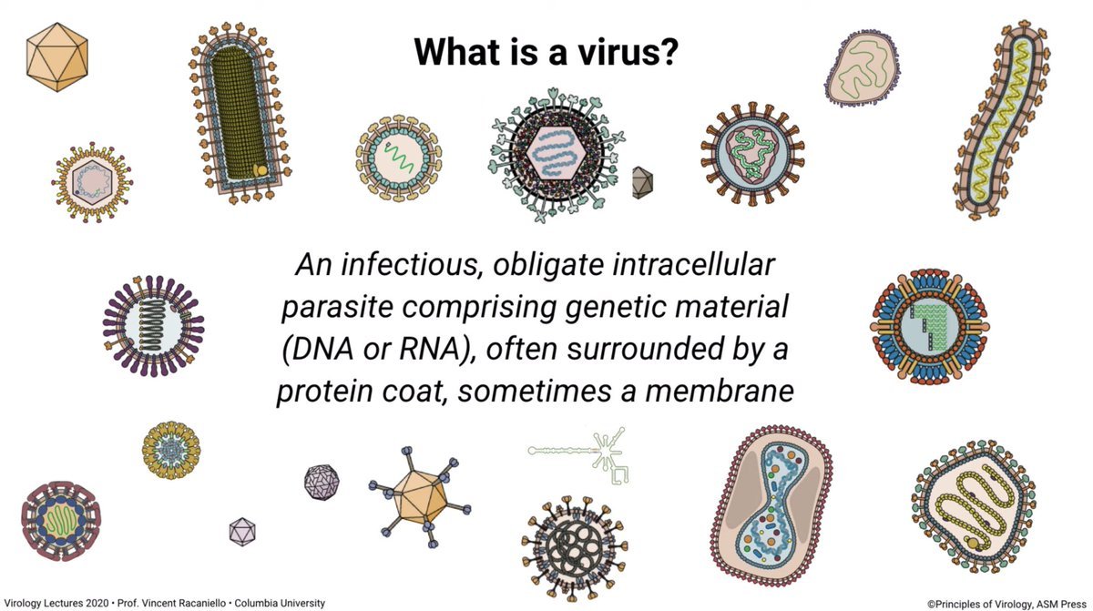 Thumbnail of www-x-com-karpathy-status-1234682603573137411-0dad7491b9d34411