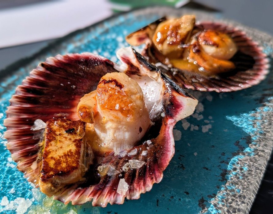 Thumbnail of www-x-com-fmendiguren-status-1890053004294046038