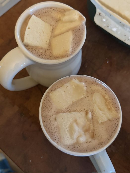 Thumbnail of www-x-com-5htskeptic-status-1874092715857895680-118f51d31de24f5c