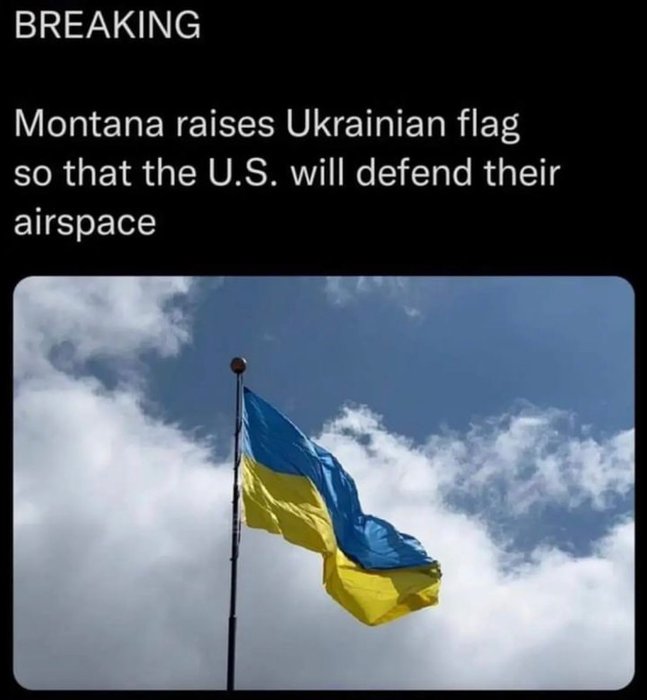 Thumbnail of www-x-com-sallymayweather-status-1621849825644843009-11d5e553803b4cc8