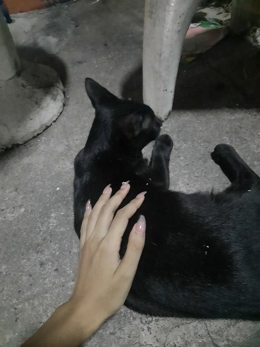 Thumbnail of www-x-com-goodafteruoou-status-1869738500448501953-124a8006adc34c86