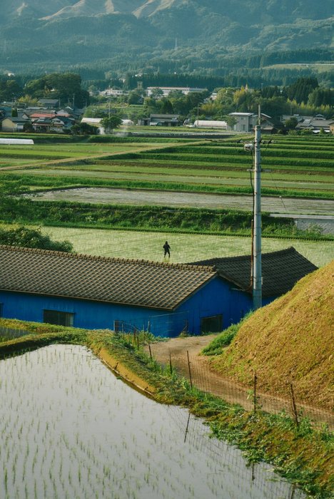 Thumbnail of www-x-com-shintake-photo-status-1929010020928082376-137b350bfc604f2a