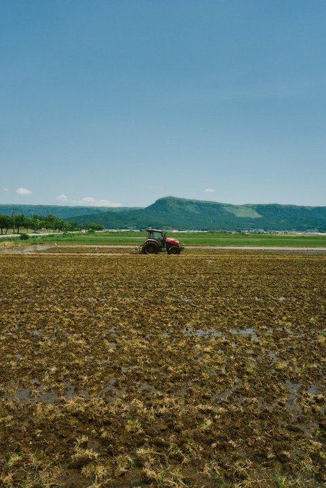 Thumbnail of www-x-com-shintake-photo-status-1929010020928082376-137b350bfc604f2a