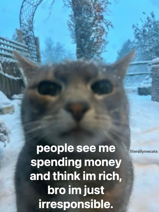 Thumbnail of www-x-com-literallymecats-status-1950912119853236583-13842fd65df745b2